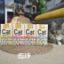 Miu Lucy Cat Snack Catnip Cat Bunny Hairball Cat Snack Cá ngừ Catnip 80g - Đồ ăn nhẹ cho mèo