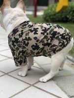 Бумага для кожи (бычья собака)