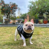 Куртка, шаблон, жилет, 14 года, размер, домашний питомец, подходит для подростков