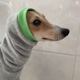 Магазин 14 лет, 13 размеров, более трех размеров домашних животных, борзая, уиппет, выкройка одежды для четвероногих, специальные рисунки одежды для собак добермана-пинчера.