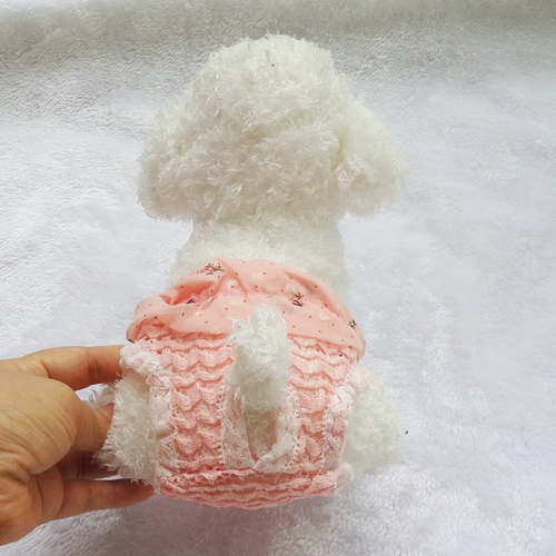 Собака v брюки с оценкой во время брюк, мальчик -женщина упаковала внутренние брюки летние кружевные плюшевые плюсы Мемориальные штаны Большая собака