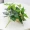 Mô phỏng củ cải xanh trong chậu và ngoài trời trang trí chậu nhựa cây hoa nhân tạo và cây trang trí mô phỏng thực vật trang trí - Hoa nhân tạo / Cây / Trái cây