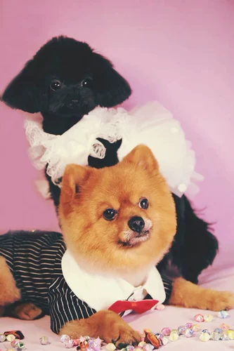 Трехмерное свадебное платье, наряд маленькой принцессы, в цветочек