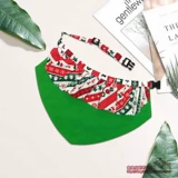 Большая собака поглощение нагрусь встряхнут гранулированное рту водяное полотенце Аразха, сражаясь с золотой собакой собака, собака, собака, собака, собака, собака с собакой