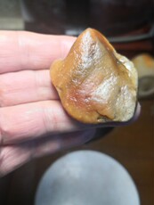 Ювелирные изделия и полуфабрикаты 寿山石寿山田黄原石田黄仔31克