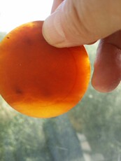 Ювелирные изделия и полуфабрикаты 天然黄龙玉黄蜡石黄龙玉镯芯原石 奇石原石