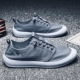 H01 Grey