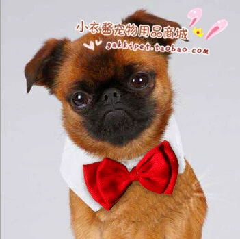 Галстук-бабочка, галстук с бантиком, аксессуар, чокер, декор