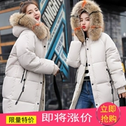 Bông chăn nữ 2018 mới xuống bông quần áo chic bánh mì dài dịch vụ áo khoác mùa đông nữ dày lỏng bf cotton coat