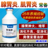 Гастит желудка с куриной железой, пищеварительная железа с куриной утиной гуси.