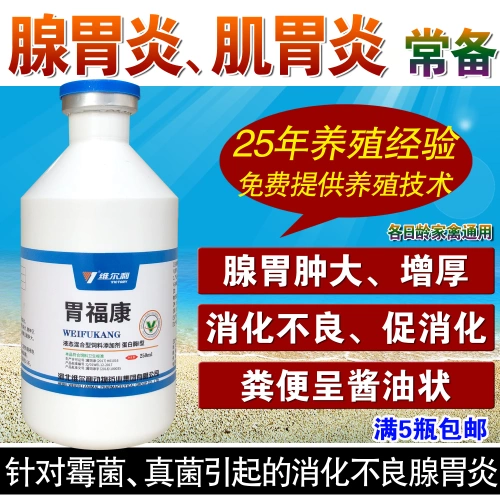 Гастит желудка с куриной железой, пищеварительная железа с куриной утиной гуси.