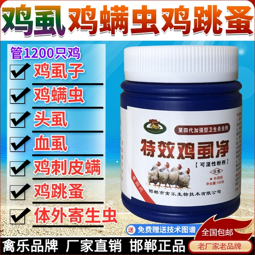 Медицина курицы в посечниках куриная птица -птица Четвертая генерация куриные вшиные привод в конечных вшах Медицина.