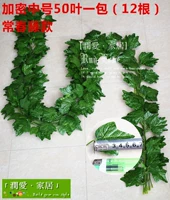 50 листьев Ivy 12 установок