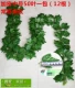 50 листьев Ivy 12 установок