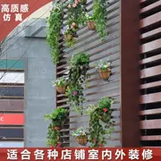 Treo tường hoa nhân tạo phòng khách ban công trang trí nội thất trang nhã cây xanh nhựa cây lá treo hoa giả mây - Hoa nhân tạo / Cây / Trái cây