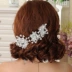 Bridal tiara head flower tạo kiểu tóc phụ kiện cưới trang sức cưới váy photo studio ảnh phụ kiện