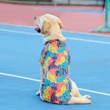 Середина -large Dog Hawaii Открытая рубашка для сундуки