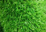 Симуляция ковров Гортоический симулятор травы