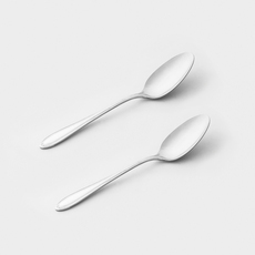 Набор столовых приборов 日本echo 18-8不锈钢勺子2件套西餐调羹儿童勺子餐叉甜品勺 18cm