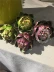 Mô phỏng đầu dứa mô phỏng hoa atisô hoa khô ảnh chụp ảnh đạo cụ hoa khô hoa lụa cửa hàng hoa giả - Hoa nhân tạo / Cây / Trái cây Hoa nhân tạo / Cây / Trái cây
