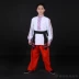 Qingyi 2019 mẫu sản xuất tại Nga quần áo gió nam quốc gia Tân Cương trang phục biểu diễn sân khấu - Trang phục dân tộc