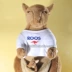 Đích thực Mỹ KangaROOS mẹ và con kangaroo động vật mô phỏng plush vải đồ chơi búp bê món quà của trẻ em Đồ chơi mềm