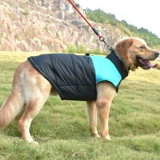 Тедди собачья одежда Зимняя одежда маленькая собака Биби медведь утолщенная осень и зимнее хлопок