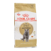 Nước sốt Mèo nhà Royal Canin Royal Cat Food Anh Thức ăn cho mèo ngắn BS34 Anh Shorthair Cat Food 2kg thức ăn cho mèo con Cat Staples