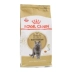 Nước sốt Mèo nhà Royal Canin Royal Cat Food Anh Thức ăn cho mèo ngắn BS34 Anh Shorthair Cat Food 2kg