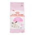 Nước sốt mèo nhà Royal Canin Bánh sữa mèo hoàng gia BK34 Mèo miễn dịch thời kỳ sinh sản mèo cái chủ yếu là thức ăn 2kg Cat Staples