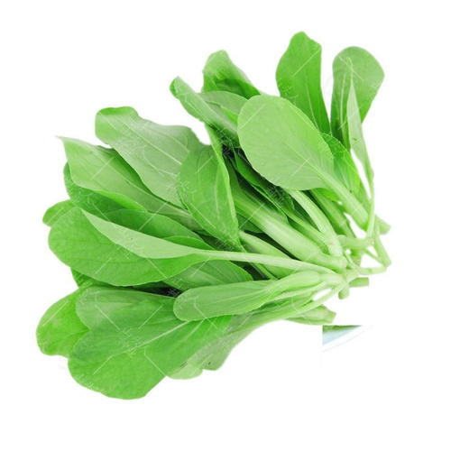 Семена и семена куриных перо