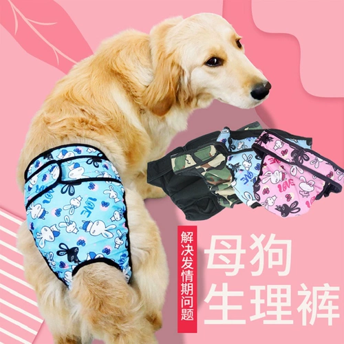 Физиологические брюки с большими собаками золотые волосы, собака с собакой среднего размера Сатсума защитные менструальные брюки, чтобы предотвратить преследование физиологических штанов для собак