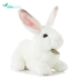 Yadson mô phỏng búp bê thỏ đồ chơi sang trọng thỏ nhỏ búp bê trắng doll búp bê thỏ trắng - Đồ chơi mềm gấu bông bts Đồ chơi mềm