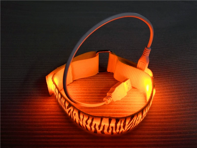 Светящийся мигающий зебра с USB-зарядным устройством, роликовые коньки, браслет