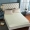 Giường bông Avon Ting 笠 cotton 1,2 1,5m1,8 m trải giường đôi trải giường Simmons nệm nệm