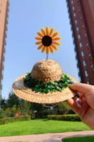 Зеленый