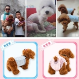 Физиологические штаны для собак, моча, без мокрой суки, мужская собака посвященные подгузники, домашние животные, маленькая менструальная тетя, тетя, защитная плюшевая девушка