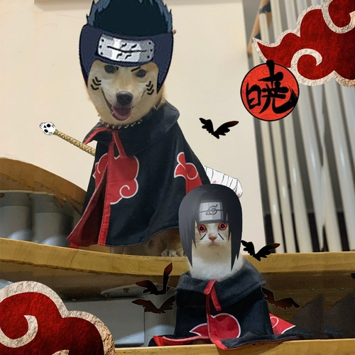 Наруто седьмой генерация Наруто Кот Плат питомец снабжает собаку и собаку домашний воздушный воздух.