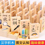 Trẻ em nhận thức ký tự Trung Quốc Bính âm kỹ thuật số domino câu đố khối xây dựng bằng gỗ khối đồ chơi 3-4-5-6 tuần. - Khối xây dựng