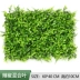 hoa lan hồ điệp giả Tường cây xanh mô phỏng tường cây ban công nhựa giả cỏ treo tường trang trí nền trong nhà sân cỏ bạch đàn hoa mẫu đơn giả Hoa nhân tạo / Cây / Trái cây