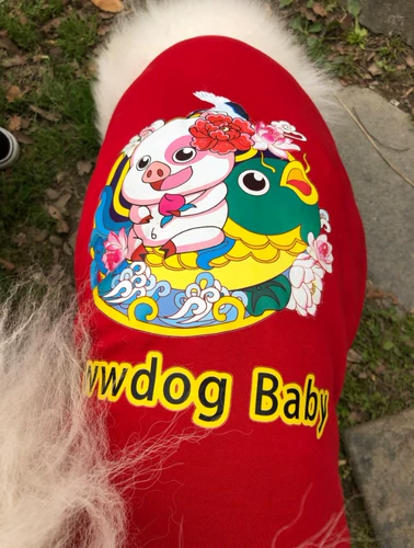 Домашняя одежда Золотая ратабрабрадама большая собачья одежда против волос весна весна осень и летняя тонкая одежда для четырех