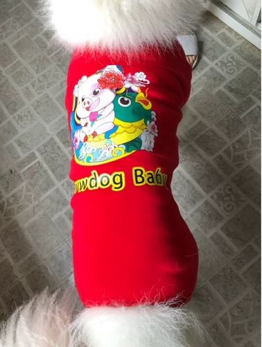 Домашняя одежда Золотая ратабрабрадама большая собачья одежда против волос весна весна осень и летняя тонкая одежда для четырех