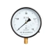 Relda Y-40/200/250 thông thường đồng hồ đo áp suất khí nước dầu áp xuyên tâm 0-1.6mpa/2.5/40 