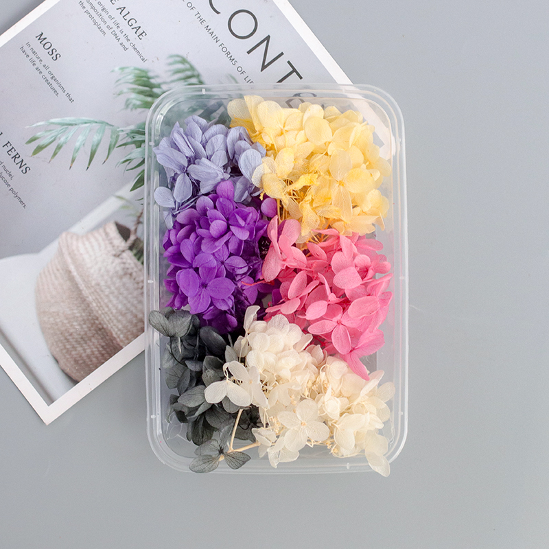 Hybrid Hydrangea / Abeautiful Mu son Mixed pack diy Hand made decorate Immortal flower Dried flower Set meal Material Science diy Photo frame Flower wood Embossed bag