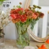 Cánh đồng hoa trong suốt thức dậy xô hoa acrylic xô hoa nhựa cửa hàng hoa cửa sổ cắm hoa xô hoa nghệ thuật xô hoa