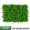 Nhà máy mô phỏng tường cây xanh tường trang trí nền giả cỏ nội thất cửa nhựa hoa cỏ tường treo hình ảnh tường - Hoa nhân tạo / Cây / Trái cây cây hoa anh đào giả