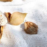 Ковер, пляжное одеяло для кемпинга, стиль бохо, пляжный стиль