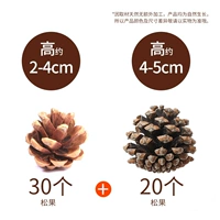 В общей сложности 50 пакетов сосновых конусов