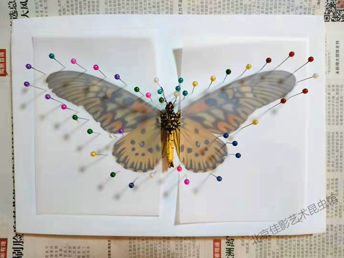 Плата с высокой плотностью eva 1 см.