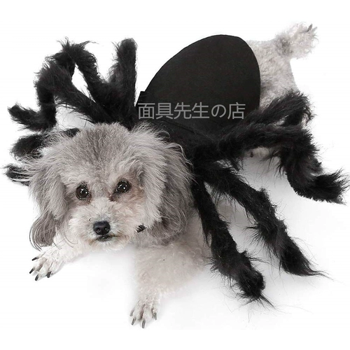 Собачья костюм паука на Хэллоуин